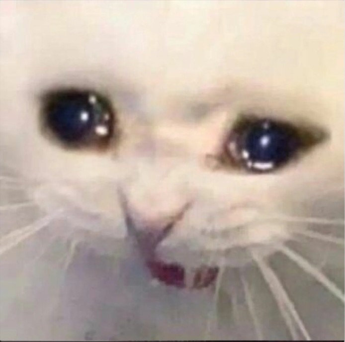 Create meme: a cat with tears in his eyes, cat with tears, weeping cats