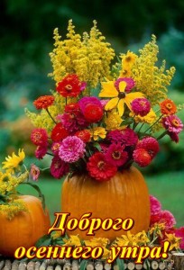 Create meme: autumn bouquet, good morning, good morning