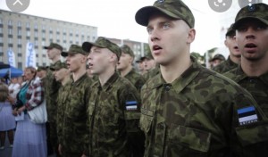 Создать мем: армия в эстонии призыв, форма армии эстонии, силы обороны эстонии