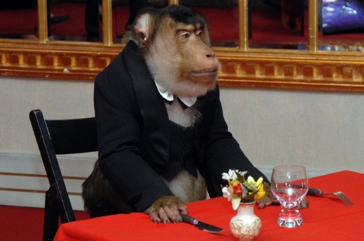 Создать мем: обезьяна шимпанзе, обезьянка в ресторане, обезьяна в ресторане