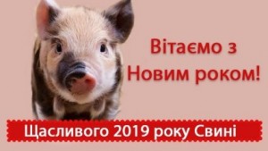 Create meme: greetings for the new year 2019, the astrological forecast for 2019 zodiac signs, pig