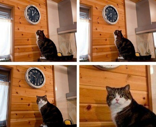 Создать мем: кот смотрит на часы мем, мем с котом и часами пора, кот и часы мем