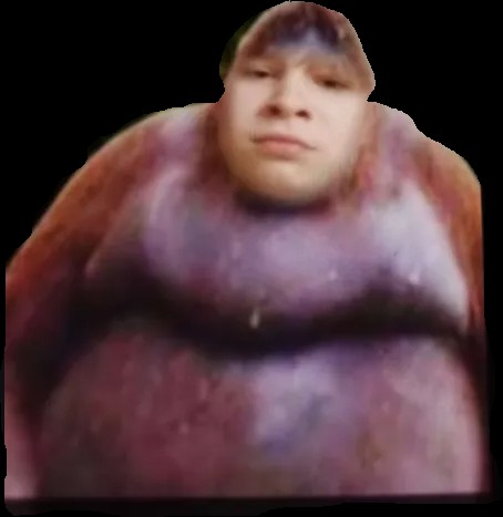 Создать мем: толстая обезьяна, страшная жирная обезьяна, стинки горилла
