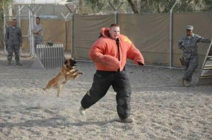 Создать мем: нападение собак на людей, military dog image, чоп собака нападение