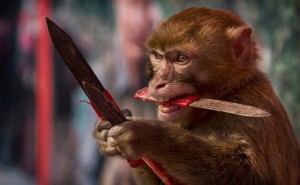Create meme: monkey, a monkey with a knife