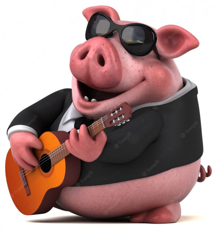 Create meme: pig , pig with guitar, pig musician