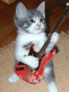 Создать мем: маленький котик с гитарой, котенок с электрогитарой, кот с электрогитарой