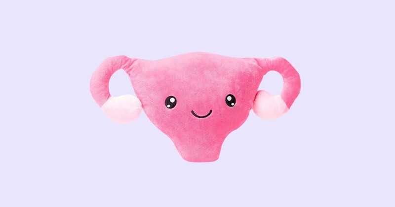 Create meme: a plush uterus, a soft toy uterus, toy 