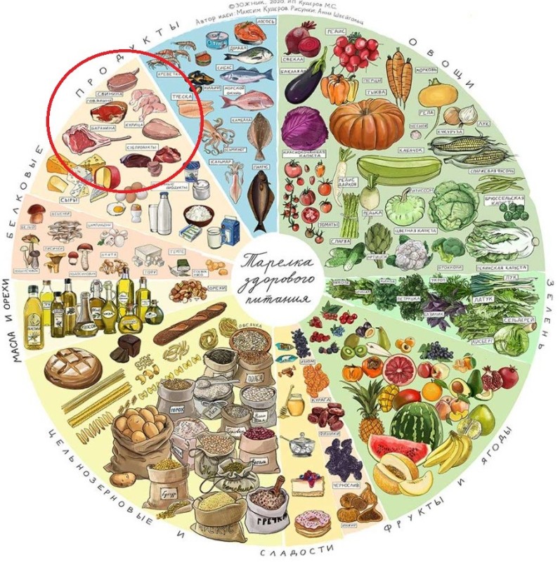 Create meme: healthy food plate, harvard healthy food plate, harvard food plate