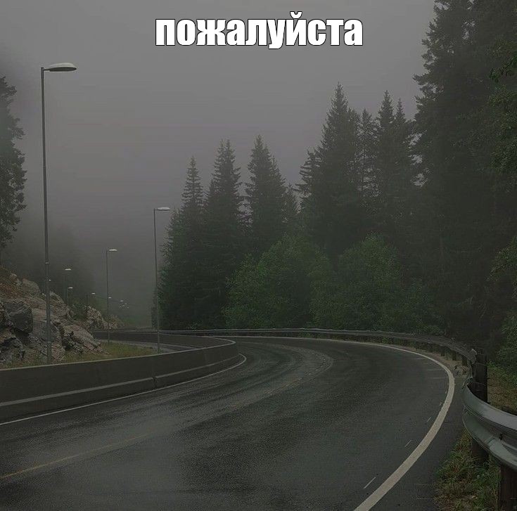 Create meme: fog road, road , landscape 