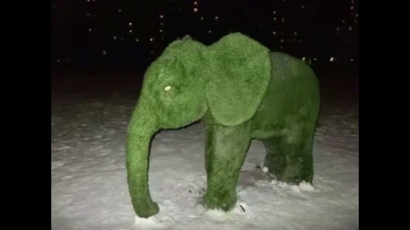 Create meme: the green elephant, elephant made of moss, elephant of moss meme