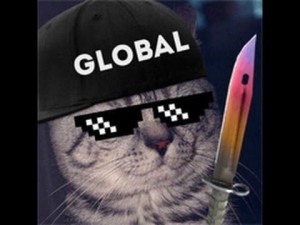 Создать мем: кот аватарка global, аватарки для кс, аватарки для кс го
