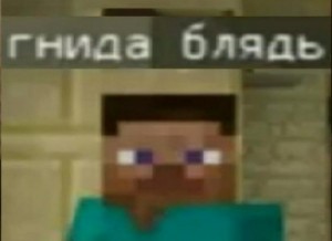 Создать мем: этот дом запривачен, майнкрафт стив, minecraft