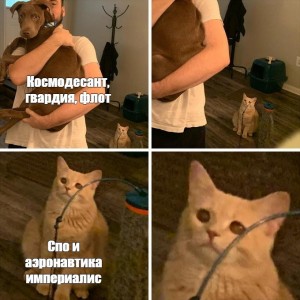 Создать мем: мемы про котов 2019, мемы с котами, кот мем