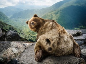 Create meme: bear, bear picture, bear power