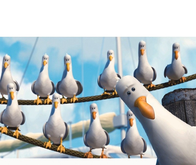 Create meme: let seagulls, Give me some seagulls, give give give seagulls