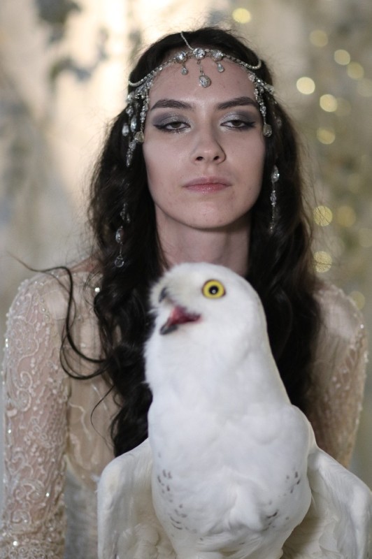 Create meme: girl , photo shoot with an owl, white owl