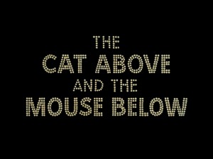 Создать мем: кот, том и джерри, tom and jerry the cat above and the mouse below