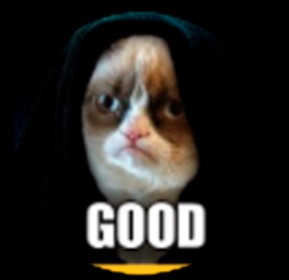 Создать мем: grumpy cat meme, кот, котик