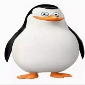 Создать мем: пингвины мадагаскара рядовой, мадагаскар пингвины, пингвины из мадагаскара рядовой