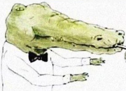 Создать мем: смешной крокодил, прикольный крокодил, забавный крокодил