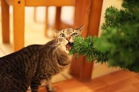 Создать мем: котик жрет елку, кошка и елка, кот уронил елку