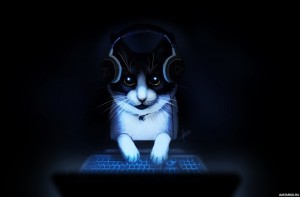 Create meme: cat, cat with headphones, the cat gamer