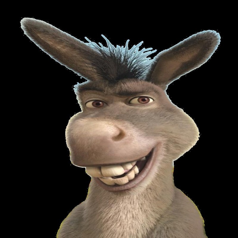 Create meme: donkey Shrek, donkey from Shrek , donkey shrek 