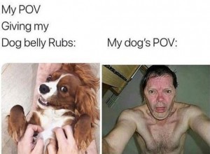 Create meme: Dog, dog meme, my dog pov