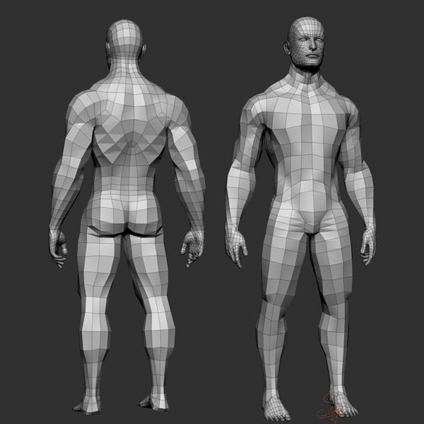 Создать мем: фигура человека, тело анатомия, низкополигональные модели