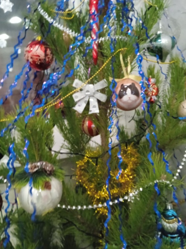 Create meme: decorated Christmas tree , dressed Christmas tree, the decoration of the Christmas tree