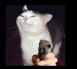 Create meme: cats, the cat with a knife, the cat with a knife meme