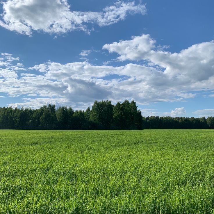 Create meme: green meadows, the field is Russian, field sky