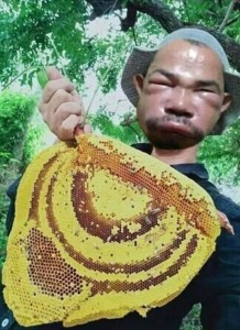 Create meme: sweet honey, hive courageous, honey bee
