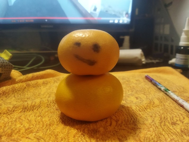 Создать мем: мордочки на мандаринах, мандарин, снеговик из мандаринов