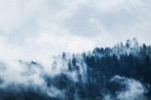 Создать мем: горный лес в тумане, туман, фон с лесом в тумане