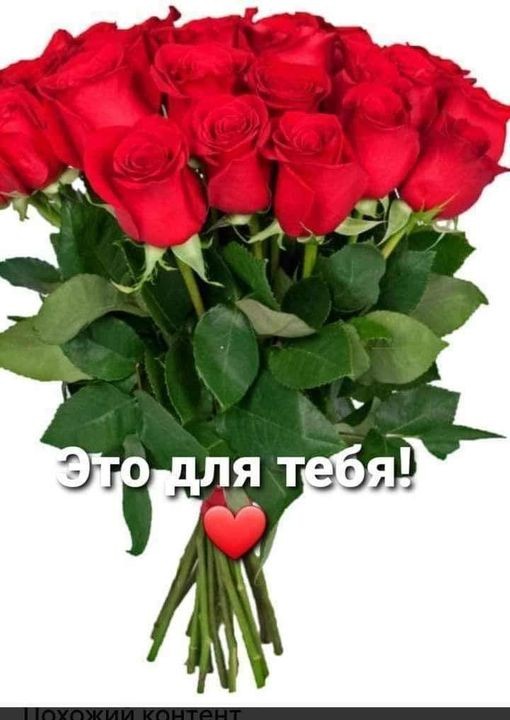 Create meme: Rosa Ecuador , ecuador red rose, rose freedom 60 cm