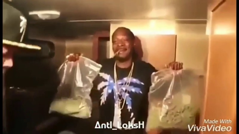 Create meme: Snoop Dogg with packages of grass, snoop dogg , Snoop Dogg with pot