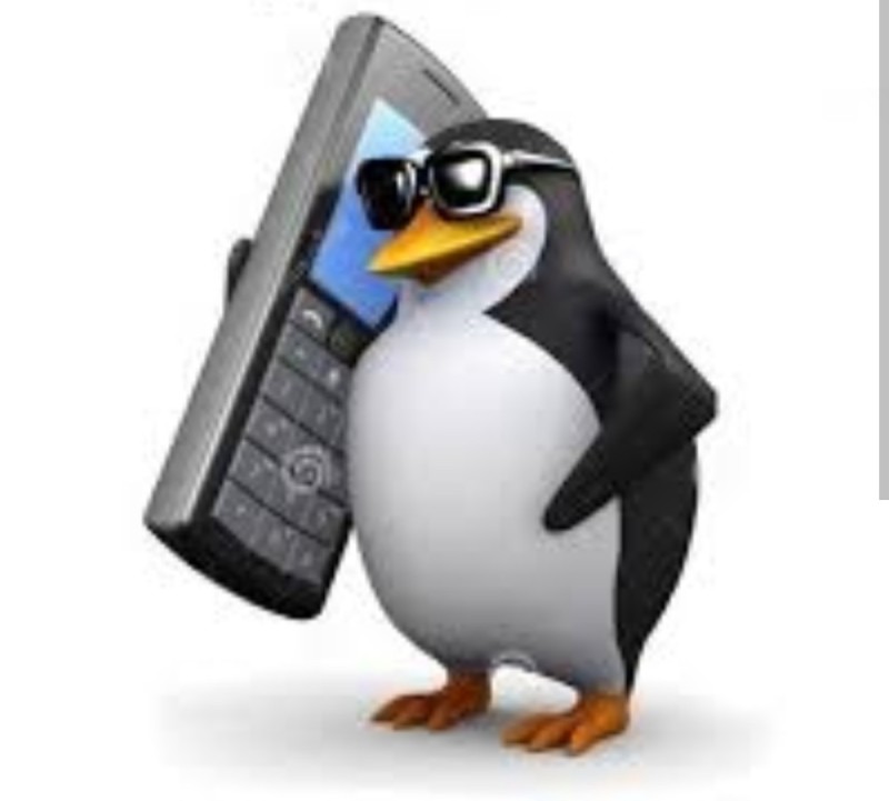 Create meme: memes penguin, penguin with phone meme template, meme penguin phone