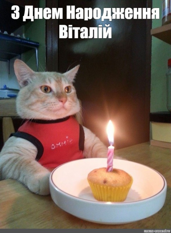 Create meme: happy birthday meme cat, happy birthday cat, happy birthday meme 