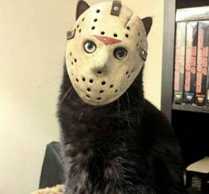 Create meme: Jason Voorhees, jason voorhees mask, cat Jason