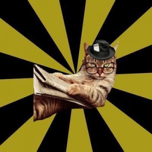 Create meme: cat, Frustrated Journalist Cat