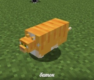 Create meme: kohama poland bus, the ancient pokemon of pixelmon, Minecraft