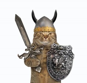 Создать мем: котик в рыцарском шлеме, котик викинг, кошка викинг