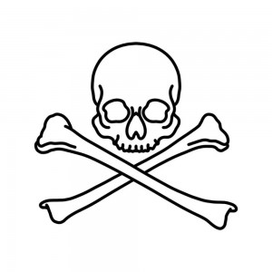 Create meme: pirate skull