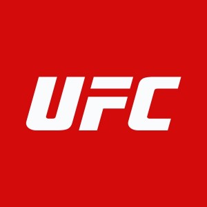 Create meme: UFC logo, Ultimate Fighting Championship, ufc logo