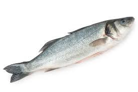 Create meme: spotted laurel fish, fish hp, sea bass