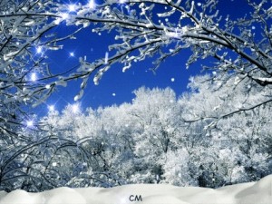 Create meme: winter, winter landscape, winter nature