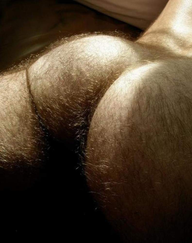 Create meme "hairy ass, hairy male ass, hairy ass men" - Pictures...