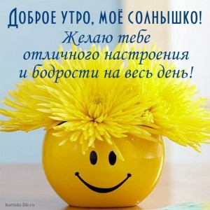 Create meme: positive day and good, positive day, have a good day